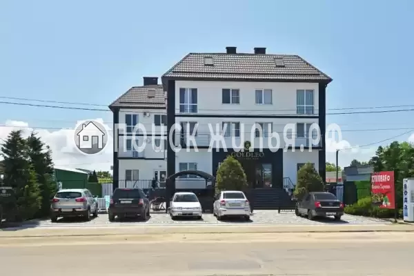 «Goldleo», Голубицкая