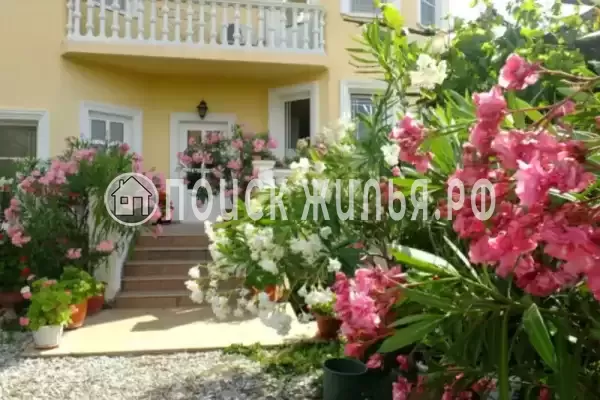 «Олеандр», Дивноморское «Олеандр», Дивноморское