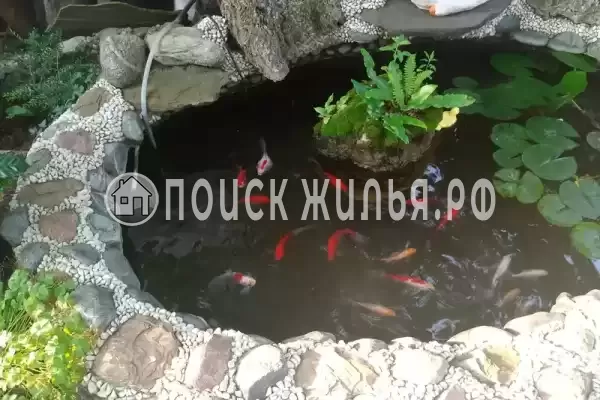 «Капитан Врунгель», Лазаревское «Капитан Врунгель», Лазаревское