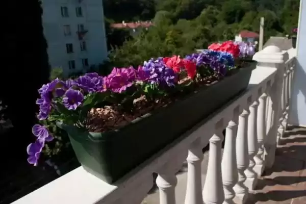 Частный сектор «Частное домовладение Ливадия»