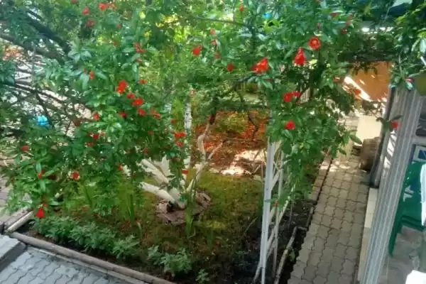 Гостевой дом «На Красногвардейской»