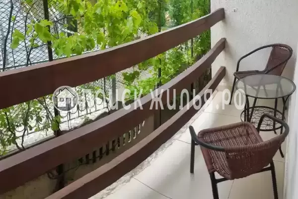 «Дежавю», Новомихайловский