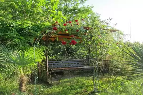 Гостевой дом «Пани софия»