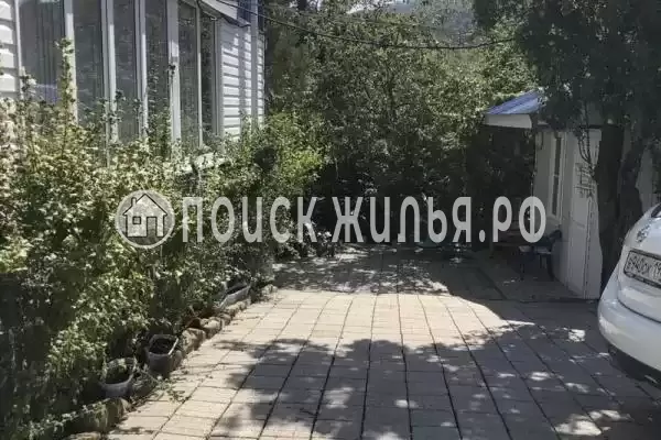 «Бамбуковый рай», Агой «Бамбуковый рай», Агой