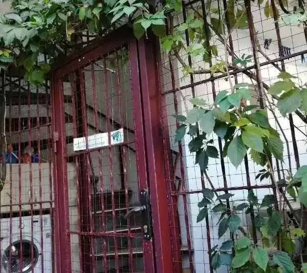 Гостевой дом «Hot-alushta»