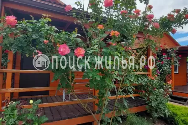 «Белые ночи», Благовещенская