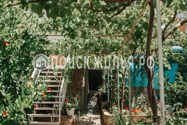 «Шанс», Судак «Шанс», Судак