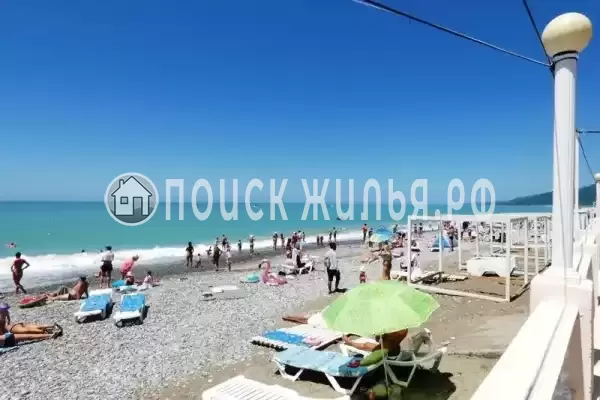 «Коралл», Лазаревское