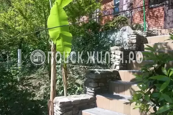 «Три медведя», Ольгинка