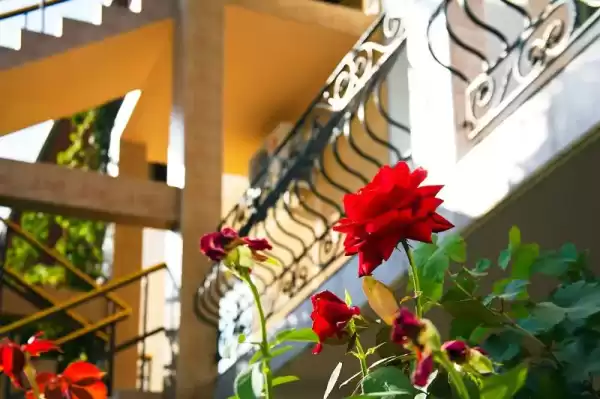 Частный сектор «Ай-Георгий»