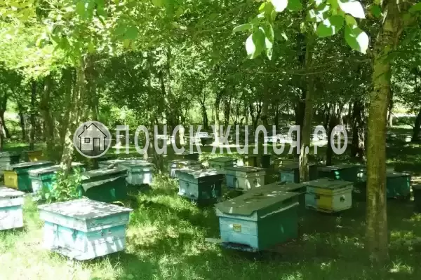 Гостевой дом «У Азы», Алахадзы