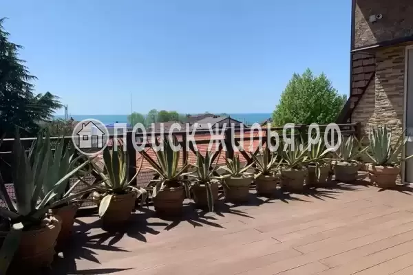 «Виктория», Лазаревское «Виктория», Лазаревское