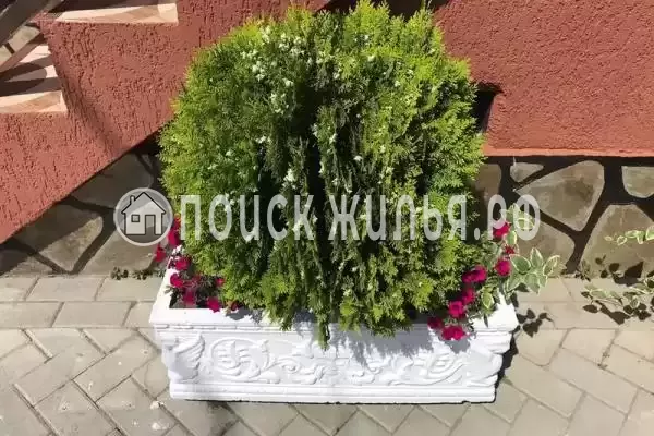 Гостевой дом «Пекан», Лдзаа