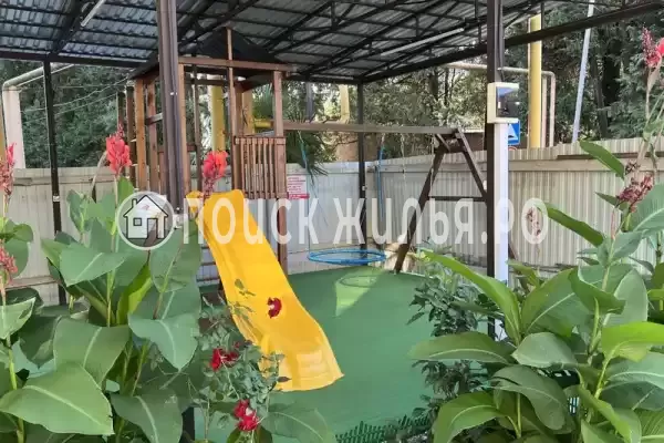 «Vega», Солоники