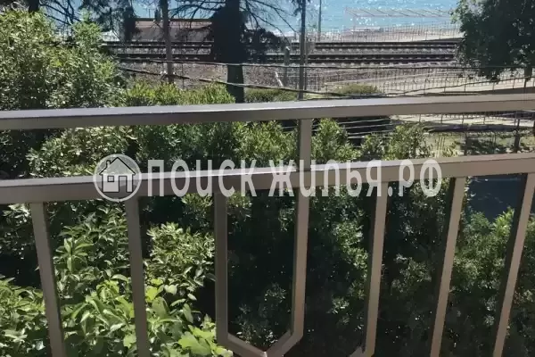 «Адениум», Лазаревское