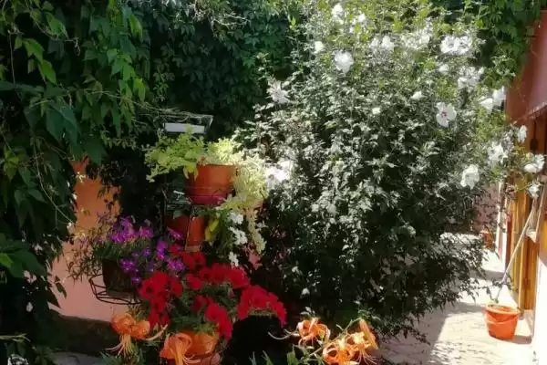 Частный сектор «Лидия»
