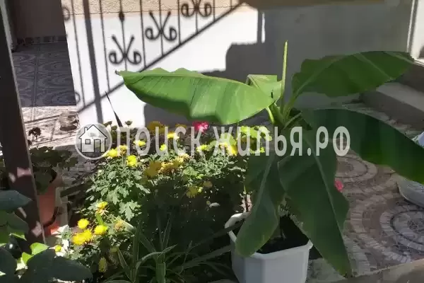 Частный сектор «Marina Garden», Геленджик