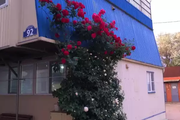 Частный сектор «Домик № 92»