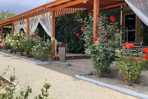 Гостевой дом «Кактус»