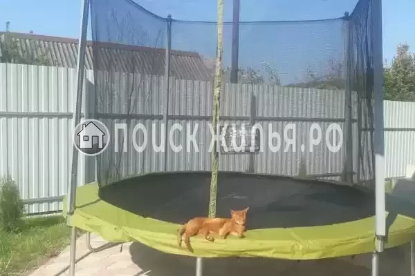 «На Дунайской», Совет-Квадже