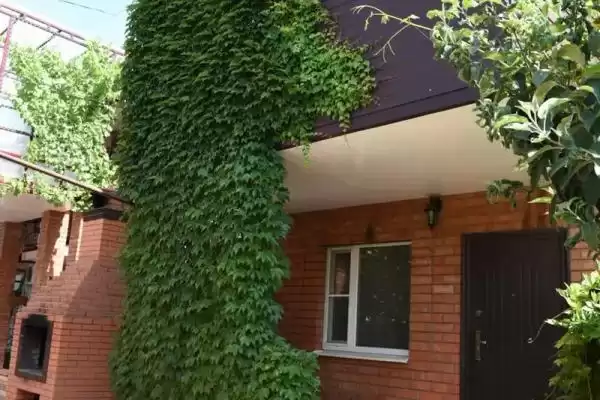 Частный сектор «Дом в центре»