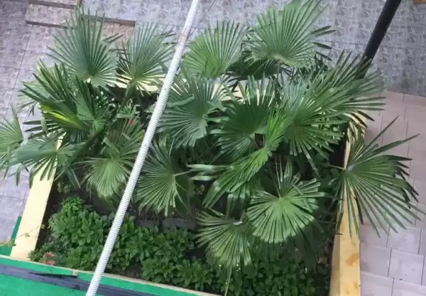 Гостевой дом «Аракс»