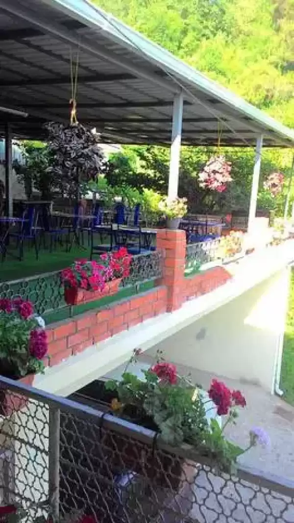 Гостевой дом «Аракс»