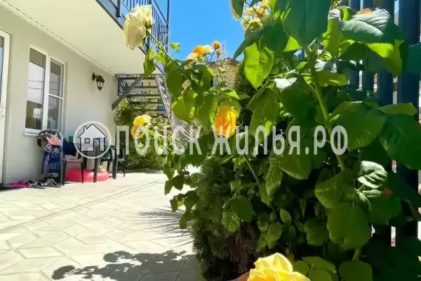 «Киви», Голубицкая