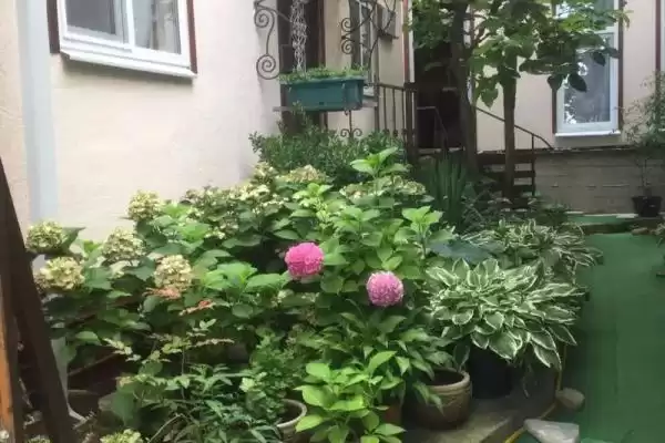 Гостевой дом «Итальянский дворик»