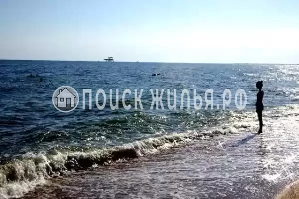 «ТаняСаша», Голубицкая