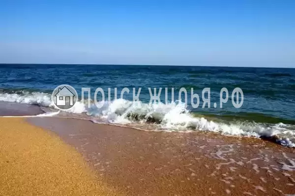 «ТаняСаша», Голубицкая