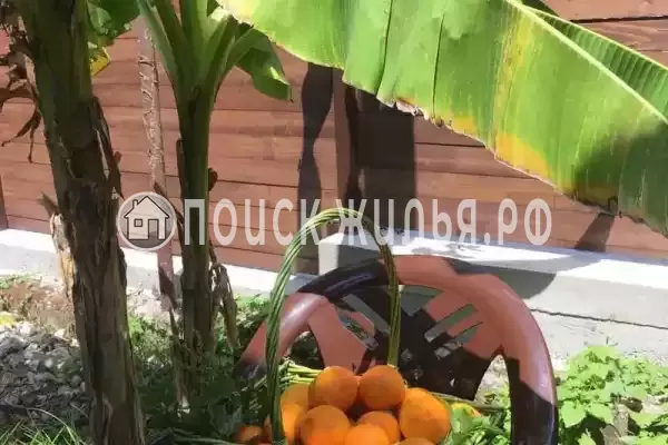 Гостевой дом «SoFitel-GagrA», Гагра Гостевой дом «SoFitel-GagrA», Гагра