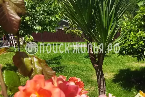 Гостевой дом «Золотая рыбка», Лдзаа