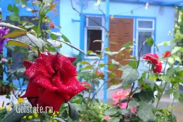 Частный сектор «Частные домики у Маргариты»