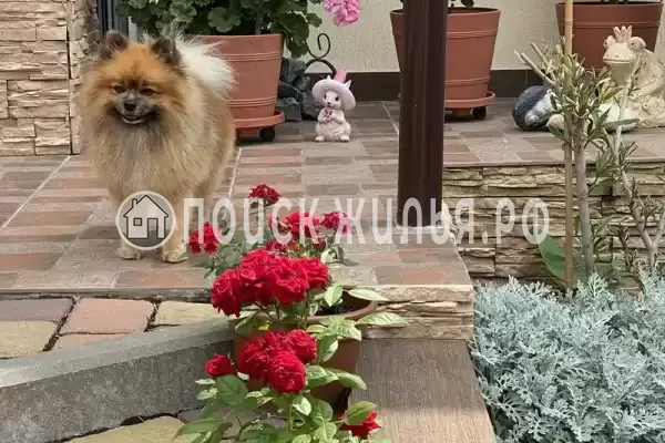 Гостевой дом «Анна», Геленджик Гостевой дом «Анна», Геленджик