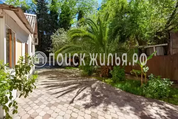 «София», Адлер «София», Адлер