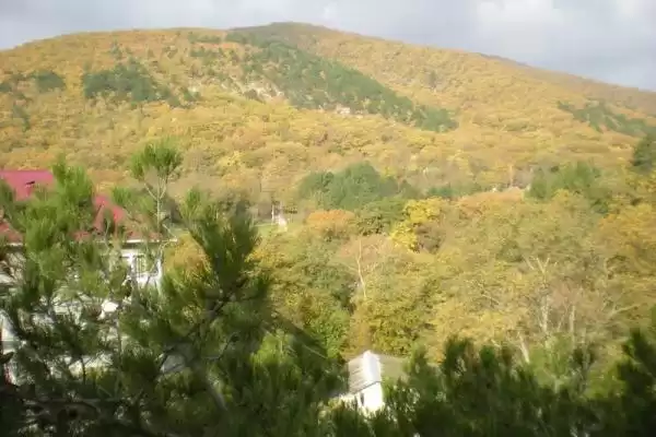 Частный сектор «Апартаменты Бетта», Краснодарский край, Бетта, Бетта, д. 10
