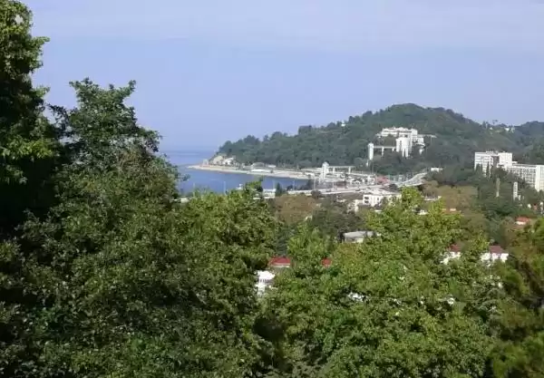 Квартира «В хосте»