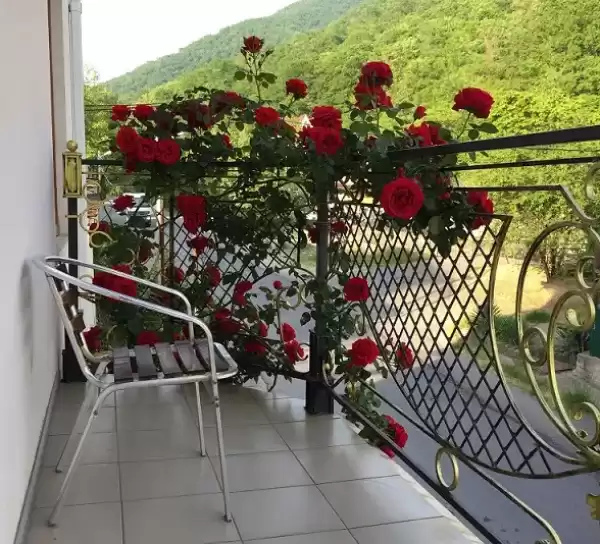 Гостевой дом «Усадьба Арлен»