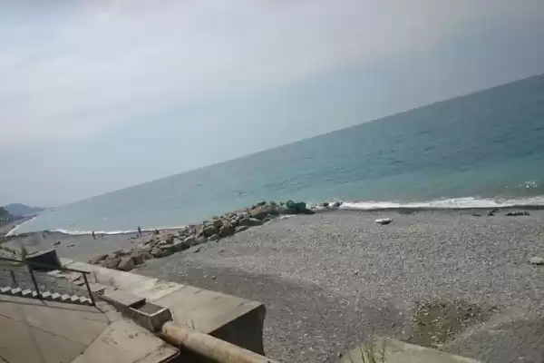 Дом под ключ «Сосновый бор»