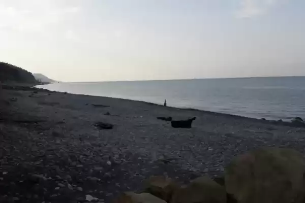 Дом под ключ «Сосновый бор»