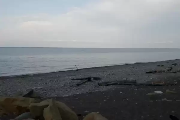 Дом под ключ «Сосновый бор»