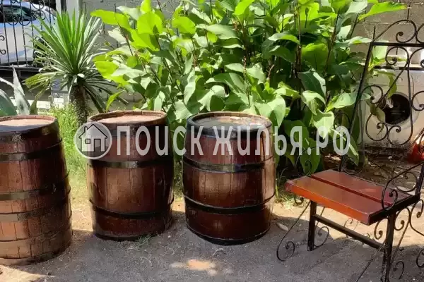 Гостевой дом «Пицунда», Пицунда