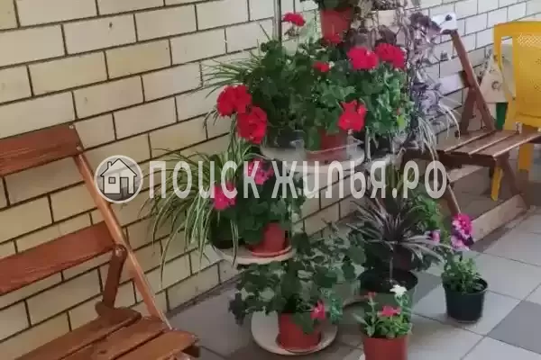 «Самый центр», Анапа «Самый центр», Анапа