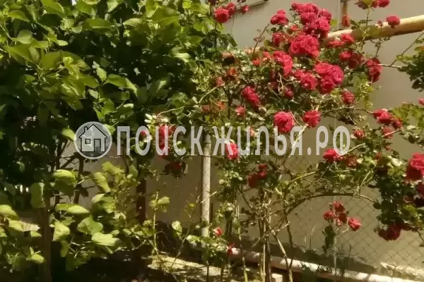 «София», Джемете