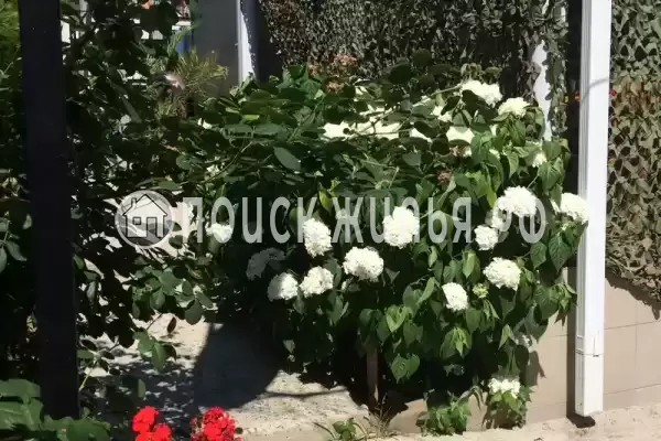 Частный сектор «Мини Рио», Лазаревское Частный сектор «Мини Рио», Лазаревское