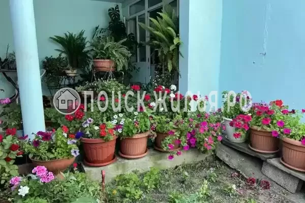 «У Татьяны», Волконка