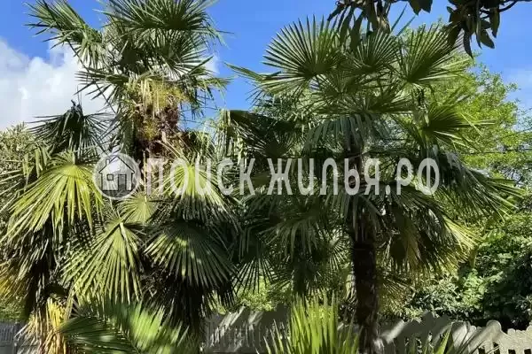 «У Татьяны», Волконка