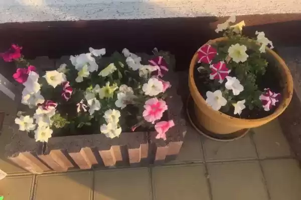 Гостевой дом «На Приазовской»