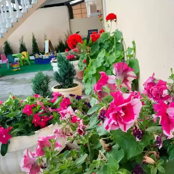 Гостевой дом «Сакура»